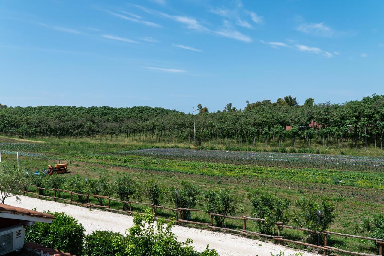 Agriturismo Il Casale Ponte Galeria Exterior foto